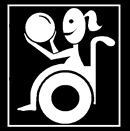 disabled wheelchair bound girl playing with a ball